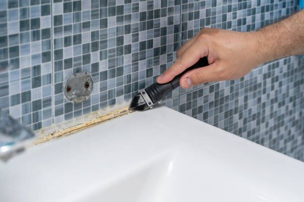 Best Mold Testing  in Milwaukee, WI