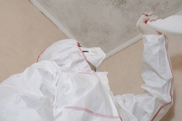 Professional Mold Removal in Milwaukee, WI